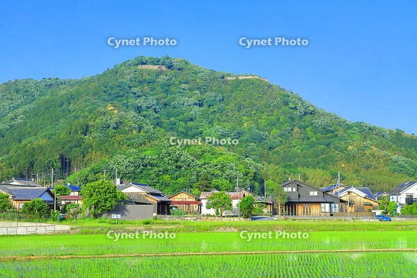 八幡山城の石垣 [THI110053526]
