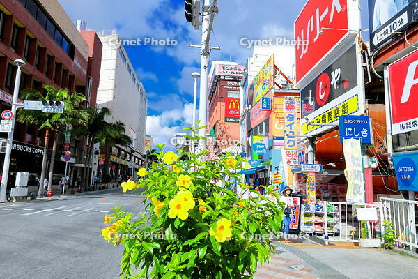 夏の国際通り　 [THI110053537]