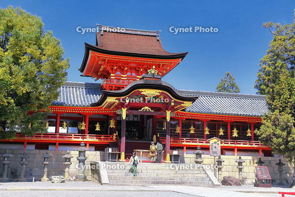 桜の咲く石清水八幡宮　 [THI110053717]
