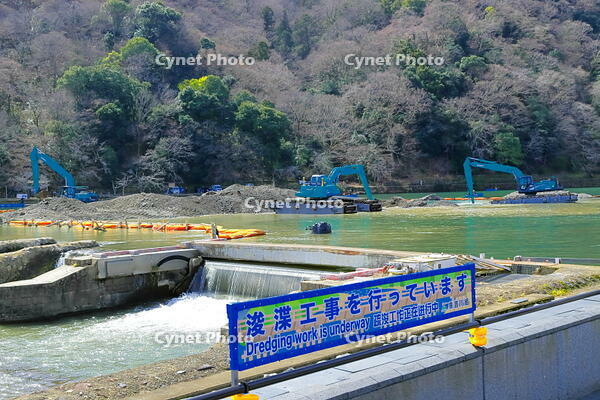 嵐山の渡月橋の上流の桂川の浚渫工事 [THI110053744]