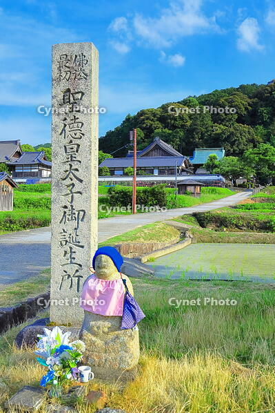 初夏の橘寺と聖徳太子御誕生所の石碑 [THI110053749]
