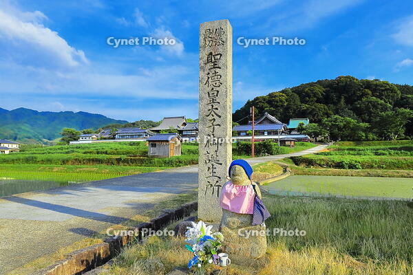 初夏の橘寺と聖徳太子御誕生所の石碑 [THI110053752]