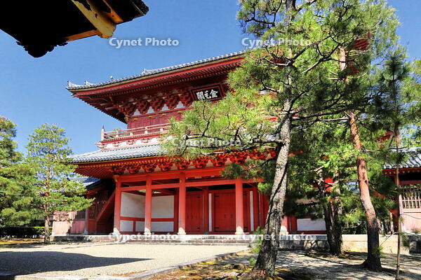 大徳寺の金毛閣 [THI110053772]