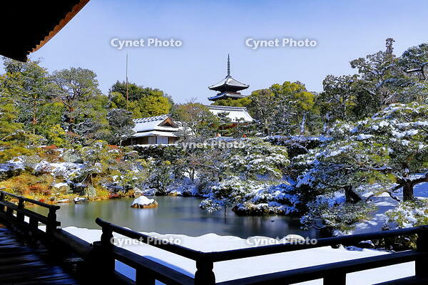雪晴れの仁和寺の北庭 [THI110053914]