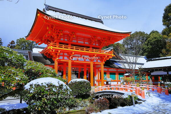 雪の上賀茂神社 [THI110053931]
