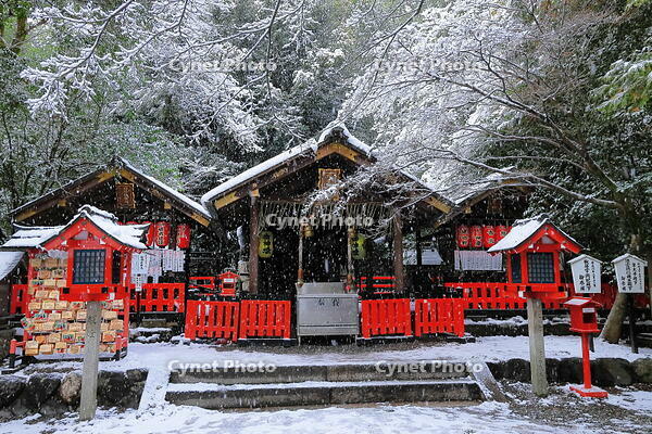 雪の野宮神社 [THI110053934]