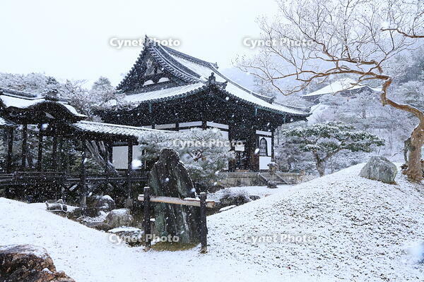 雪の高台寺 [THI110053955]