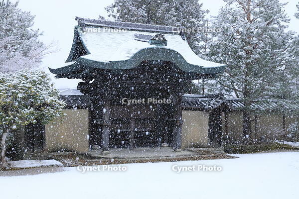 雪の高台寺 [THI110053957]