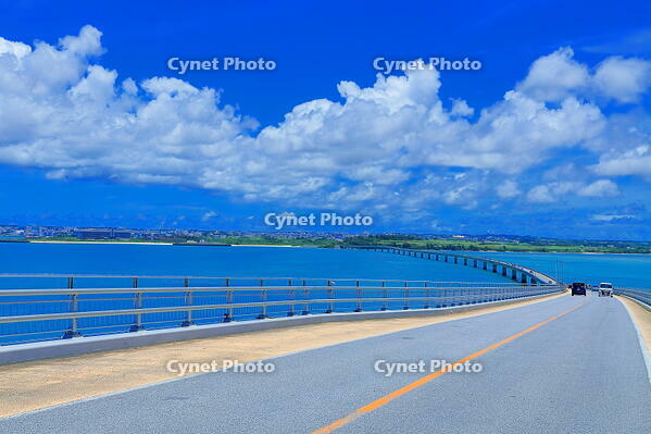 夏の伊良部大橋 [THI110053970]