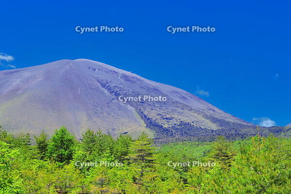 六里ヶ原休憩所からの浅間山の鬼押出し溶岩 [THI110053974]