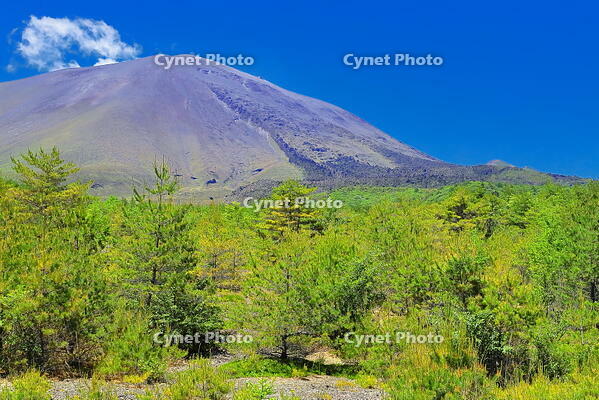 六里ヶ原休憩所からの浅間山の鬼押出し溶岩 [THI110053976]