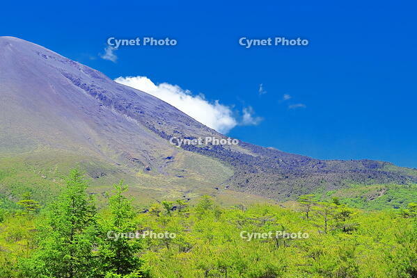 六里ヶ原休憩所からの浅間山の鬼押出し溶岩 [THI110053977]