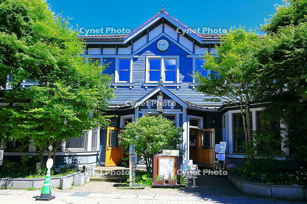 新緑の旧軽井沢銀座通り [THI110053980]