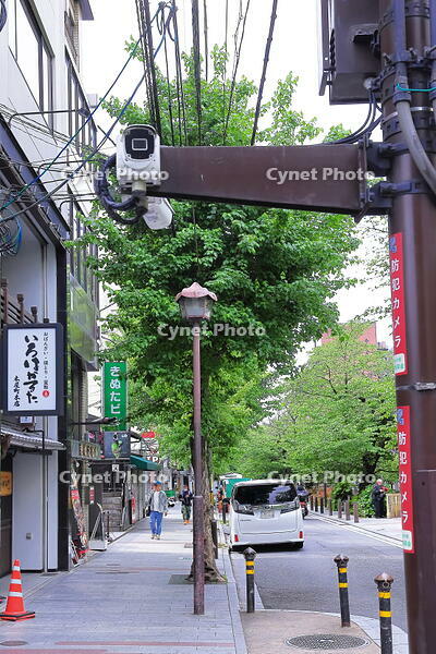 木屋町通りの防犯カメラ　 [THI110054011]
