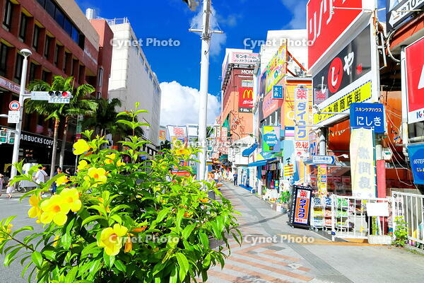 夏の花の咲く国際通り　 [THI110054150]