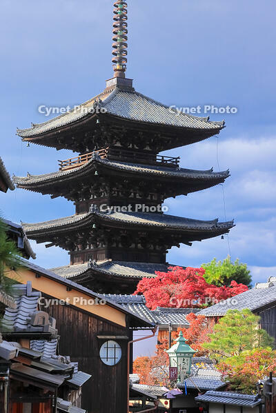 秋の八坂の塔 [THI110054213]