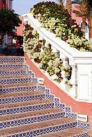 Traditional arabic architecture surrounding exotic plants [IBR123380145]