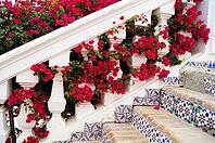 Courtyard of mediterranean villa with ceramic tile walkway and blooming bushes in Egypt [IBR123380169]