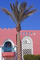 Arabic architecture: palm and red walled villa [IBR123380181]