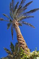 Tropical beach: sun umbrellas and palms [IBR123380190]