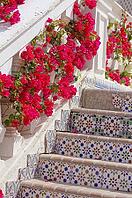 Courtyard of mediterranean villa with ceramic tile walkway and blooming bushes in Egypt [IBR123380194]