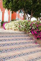 Courtyard of mediterranean villa with ceramic tile walkway and blooming bushes in Egypt [IBR123380196]