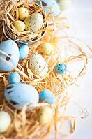 Easter holiday card with variety of easter eggs on white rustic background with copy space [IBR123380210]