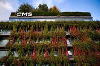 Windows are overgrown, climate-neutral façade greening on the new building, autumn colouring, office building of CMS Hasche Sigle, logo, Calwer Straße, Stuttgart, Baden-Württemberg, Germany [IBR112672595]
