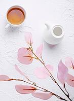 Food, Top View cup of Tea [IBR123622476]