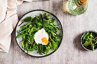 Poached egg in arugula and chard leaves on a plate on a table top view [IBR123629694]