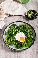 Leafy greens and poached egg on a plate on a table vertical view [IBR123629715]