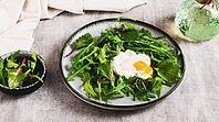 Poached egg in arugula and chard leaves on a plate on a table web banner [IBR123629723]