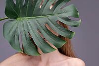 Mysterious young caucasian woman partially hidden behind large monstera leaf against gray background [IBR123629733]