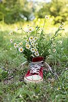 Red shoes with a bouquet of daisies in the field. Summer concept [IBR123639489]