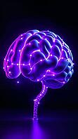 A stylized brain design illuminated in purple and blue hues, showcasing intricate connections and nodes that represent neural pathways. AI generated [IBR123641834]