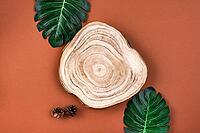 Wooden cross section cut with monstera leaves on brown surface. Showcase for cosmetic products. Natural organic eco-friendly beauty product concept. Overhead view, mockup. Product advertisement [IBR123646497]