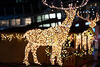 Blurred lights of christmas installation - defocused lights of deer on night city background. Christmas deer installation in Milan, Italy [IBR123646514]