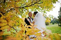 Wedding couple background yellow tree at autumn park [IBR123675075]