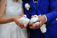 Doves at a wedding [IBR123675091]