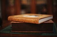 Brown natural leather classic wedding photobook and album [IBR123675157]