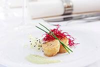 Appetizer With Scallops On A White Plate [IBR123700039]
