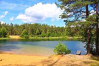Summer landscape on a clear lake. Sunny weather. Lake and forest [IBR123700081]