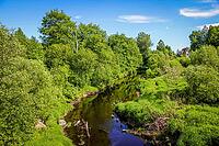 Spring Park with young greens. Russian park. Spring landscape. Young greens [IBR123700082]