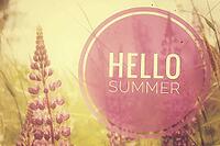 Hello summer banner. Text on the photo. Text hello summer. New month. New season. Summer. Text on a photo of flowers. Summer flowers. Nature [IBR123700083]