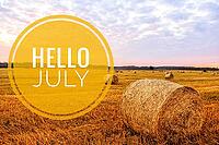 Banner hello july. New month. Welcome card Evening summer sunset. Summer landscape. Text on the photo. Evening light [IBR123700087]