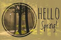 Postcard Hello Spring. Welcome card banner. Spring mood. Nature wakes up [IBR123700089]