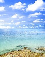 Tropical beach [IBR123713300]