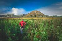 Female tourist walking through the high grass towards the craters of Gunung Bromo and Sumeru volcanoes in Java, Indonesia [IBR123713310]