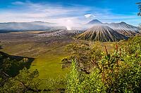 Early morning after sunrise view of the spectacular Gunung Bromo and Sumeru volcanoes in Java, Indonesia [IBR123713314]