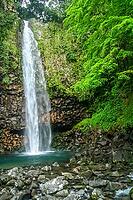 Small waterfall in the dense jungle of the tropical island of Sumatra, Indonesia [IBR123713376]